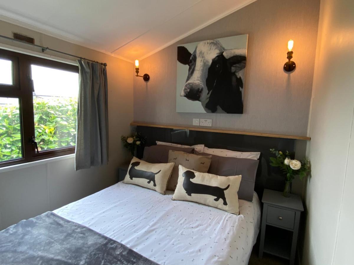 Rew Farm Country & Equestrian Accommodation - Sunrise Lodge Melksham Dış mekan fotoğraf