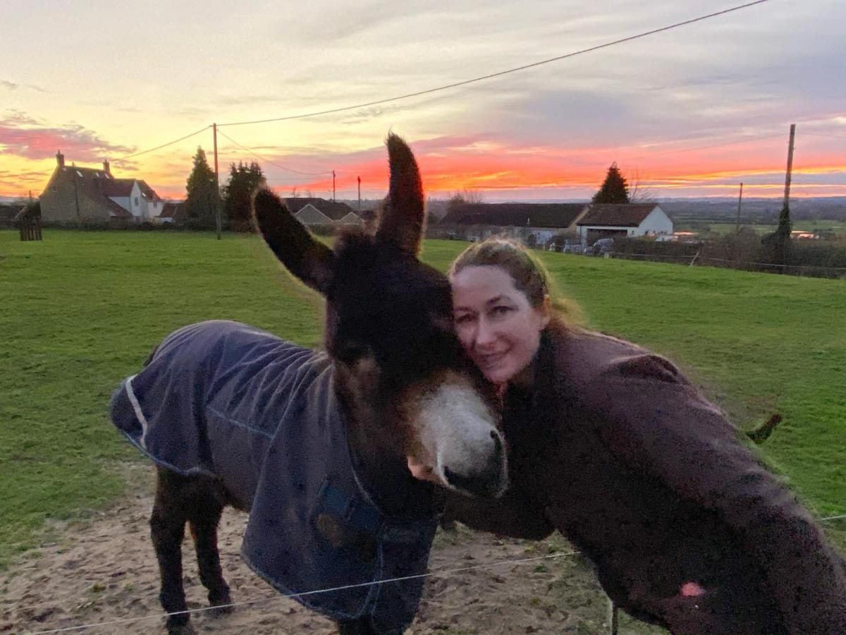 Rew Farm Country & Equestrian Accommodation - Sunrise Lodge Melksham Dış mekan fotoğraf
