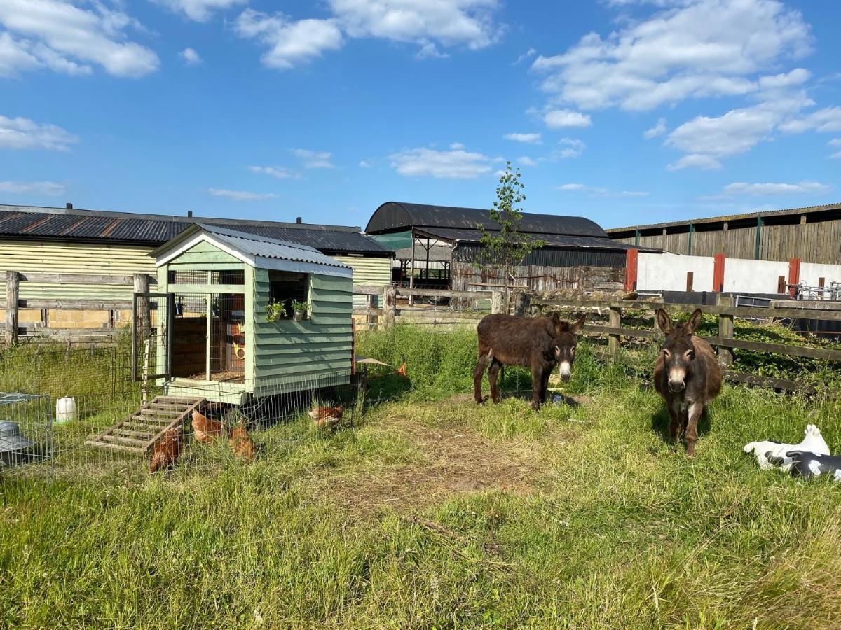 Rew Farm Country & Equestrian Accommodation - Sunrise Lodge Melksham Dış mekan fotoğraf
