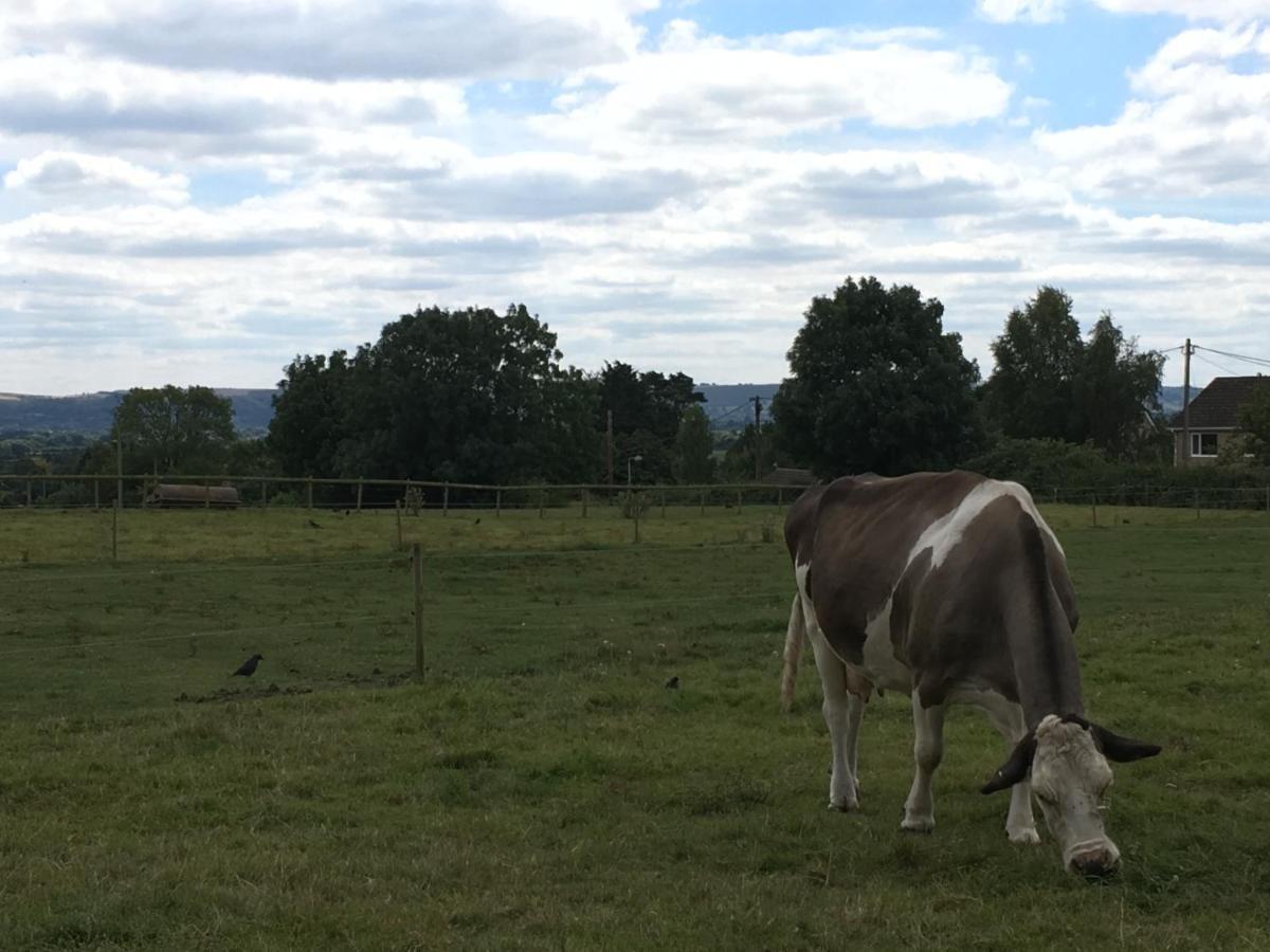 Rew Farm Country & Equestrian Accommodation - Sunrise Lodge Melksham Dış mekan fotoğraf