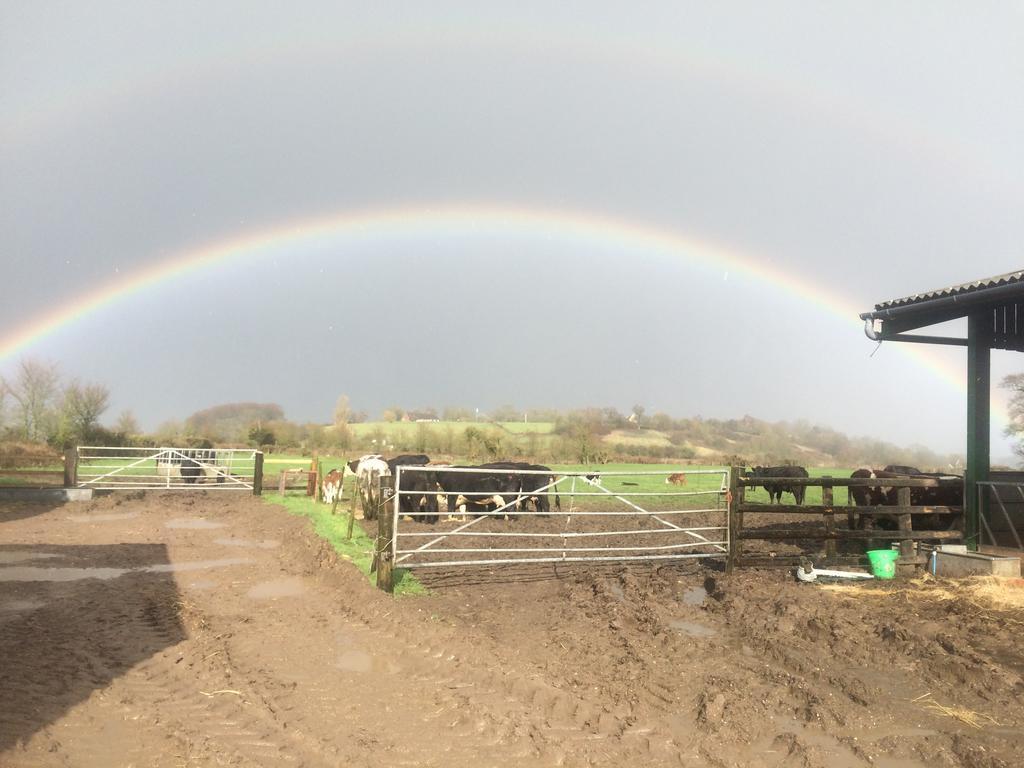Rew Farm Country & Equestrian Accommodation - Sunrise Lodge Melksham Dış mekan fotoğraf