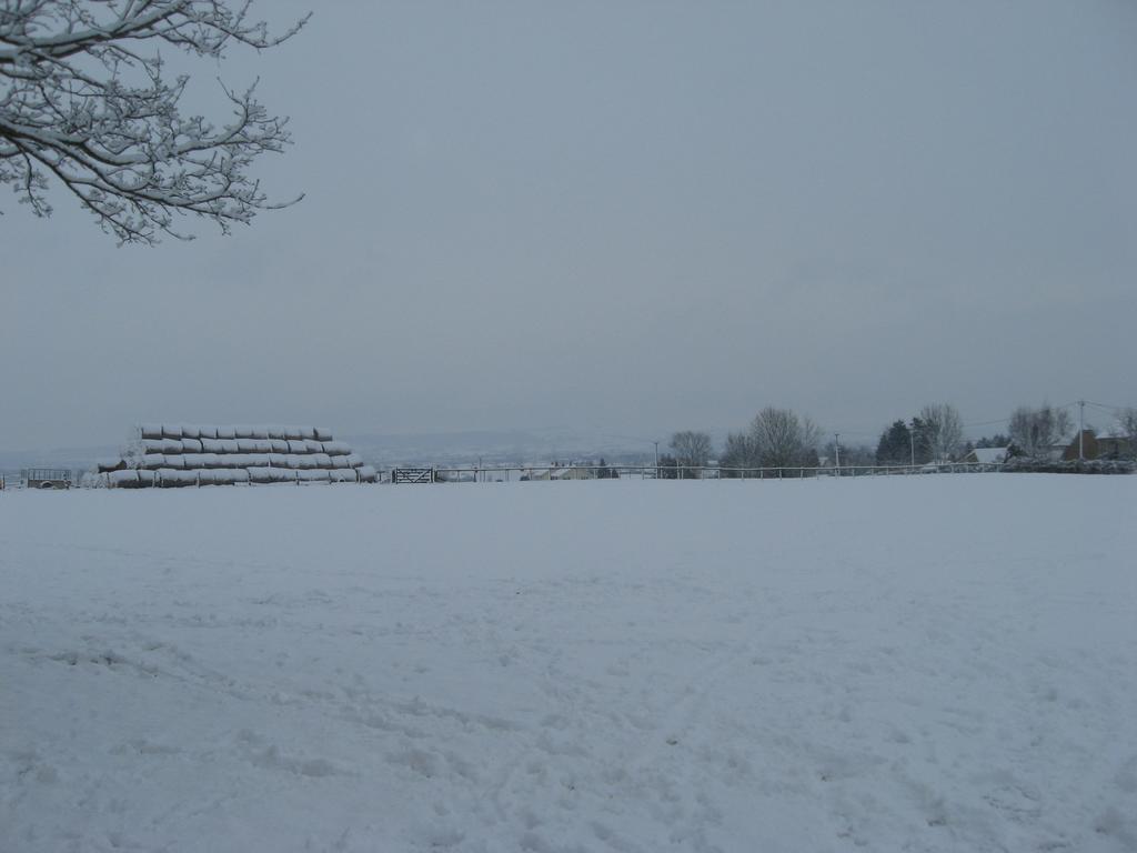 Rew Farm Country & Equestrian Accommodation - Sunrise Lodge Melksham Dış mekan fotoğraf