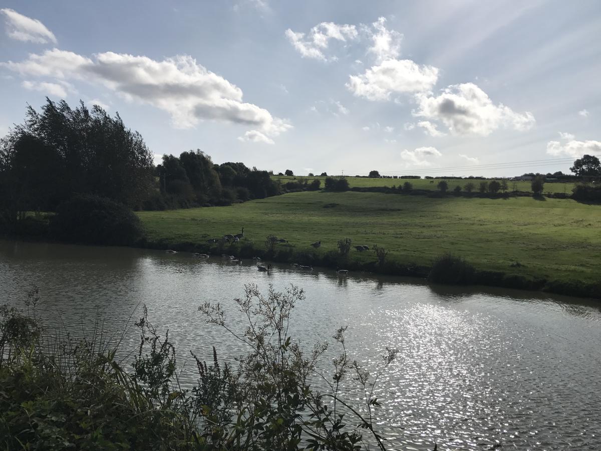 Rew Farm Country & Equestrian Accommodation - Sunrise Lodge Melksham Dış mekan fotoğraf